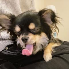 魔法おばばさん Smの女王様 の実績 評価 ココナラ