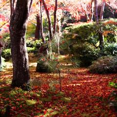 ターバン男性イラスト Mm 0113さん 販促広報 趣味でイラスト制作 のポートフォリオ ココナラ