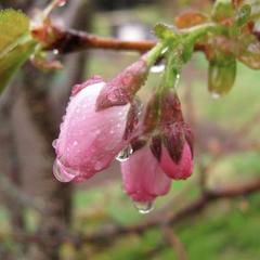 林まきさん 編集者 のプロフィール ココナラ 林まきさん 編集者 のプロフィール ココナラ