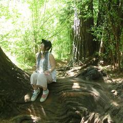 シャスタ山で制作した「妖精の家」  光石ひかりご依頼受付休止中さん 