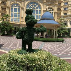 渡辺ゆいかさんのプロフィール ココナラ