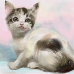 猫の絵 ねこしょうぐんさん デザイナー のポートフォリオ ココナラ