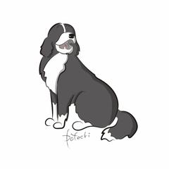 ボーダーコリーイラスト リョウヘイ カタヤマさん イラストレーター のポートフォリオ ココナラ ボーダーコリーイラスト リョウヘイ カタヤマさん イラストレーター のポートフォリオ ココナラ