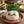 趣味EA作り