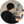 大谷　簿記・会計講師