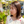 おおた のりこ