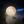 Hone_0318