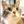 ねこ谷