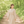 はるこ♡心の翻訳家