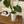 Yui_home