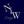 NIW Design