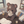 ひいろ_hiiro_別名まどろP