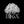 Broccoli_Mix