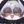 りべお