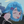 ホシミリウ
