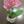 abeille0404