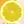 レモンLemon