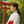 縁結び巫女＊ゆい⛩️霊視鑑定