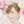 みか✨コトノハライト