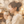 ＊ひまり＊心に寄り添うタロット占い師