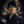 蓮｜復縁 複雑愛 同性愛 縁結び