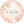Web Studio coco