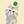 あむねこ