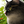 猫男爵×業務自動化エンジニア