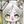 霞 はむ