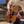 HT_Guitar_Music