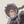 にじふし