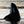 Orcinus orca