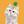 あむねこ