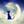 クレセントLuna☆
