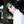 furusawa｜WordPress専門