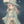 ALIA⌇月のサイクルとハーブティー