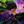 GNOSTICISM Lab
