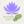 WATER LILY