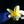 hm_plumeria