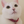 クゥミ405
