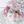 conon_a