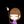 星野ひかり　