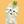 あむねこ