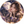 Queen Lunaria