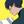 COSAWA