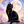 spirituaCardreader黒猫