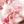 pp7