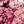 MM design77