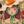 木立碧ーKOTACHIAOー