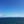 海紅茶